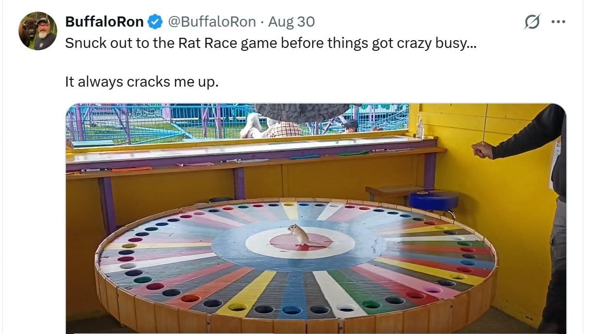 An image added to the post.