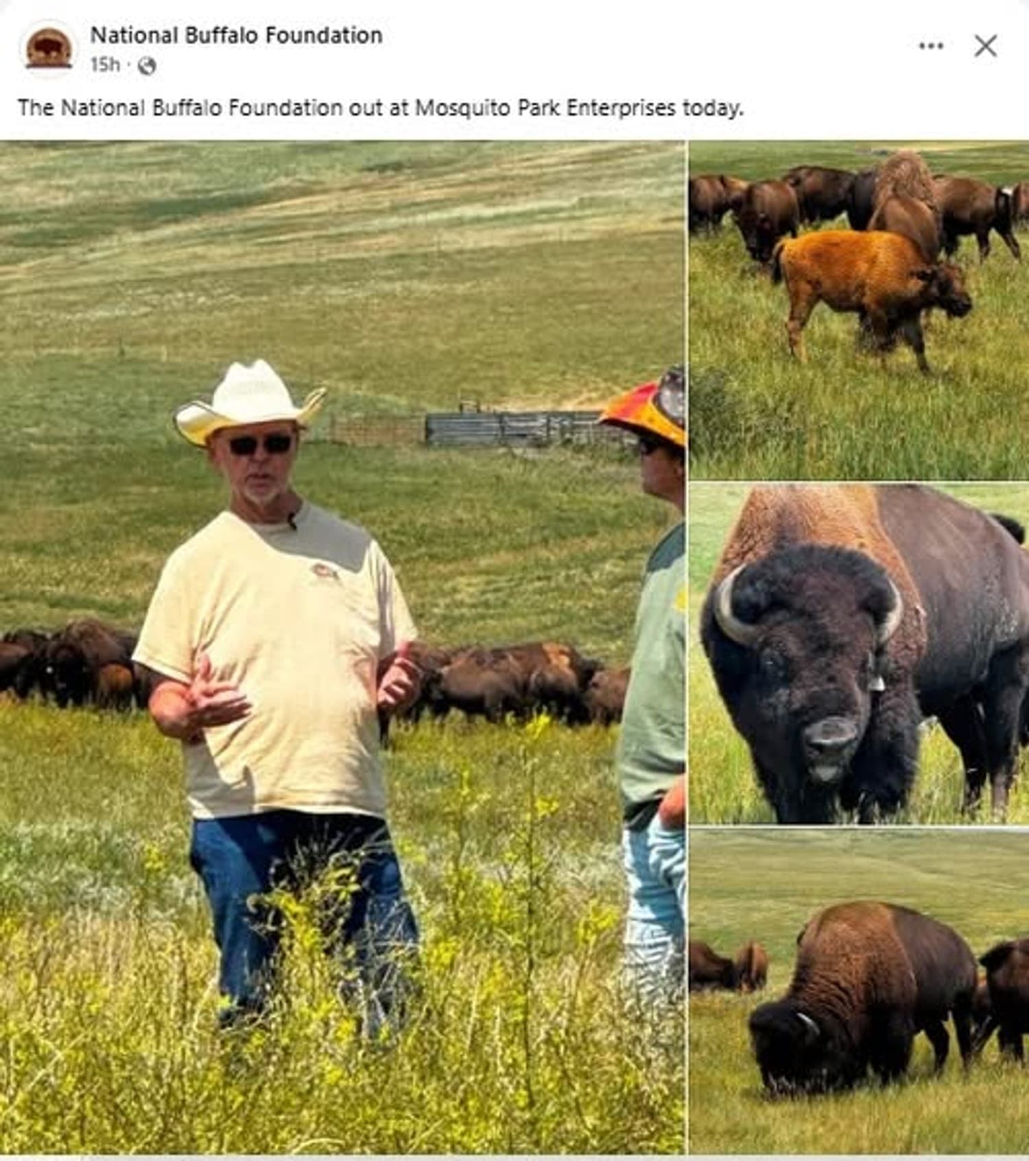 An image added to the post.