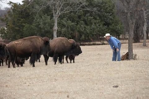 Dad and his herd